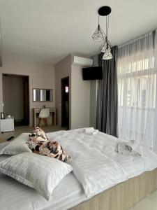 un perro acostado en una cama en un dormitorio en Ida Beach, en Mamaia Nord – Năvodari