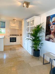 a kitchen with white cabinets and a potted plant at Water Villa Minaro Vinkeveen in Vinkeveen