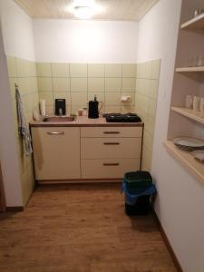 Kuchyň nebo kuchyňský kout v ubytování Apartmán na statku