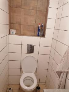 Koupelna v ubytování Apartmán na statku