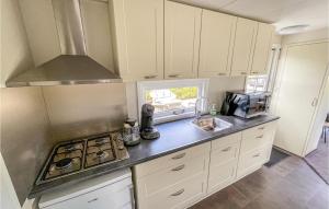 eine Küche mit Spüle und Herd oberen Backofen in der Unterkunft Amazing Stacaravan In Tzummarum in Tzummarum