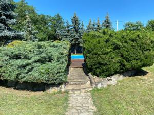 a pair of hedge hedges in front of a pool at Lunczer Vendégház in Kőröshegy