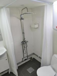 a bathroom with a shower with a toilet and a sink at Stugor Lilleskog in Vargön