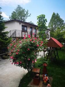 ein Haus mit rosa Rosen davor in der Unterkunft Casa TIBI și Nico in Eforie Nord