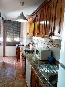 una cucina con armadi in legno e un forno a microonde su un bancone di Casa Rural Agua de Azahar Chimenea a Zahara de la Sierra