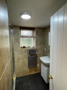 a bathroom with a shower and a toilet and a sink at Ground Floor Garden Cottage, near Stonehenge in Shrewton