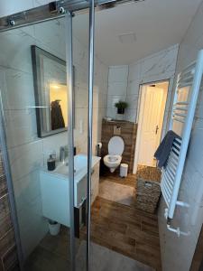 Koupelna v ubytování Zcela zařízený byt ve Vrbně pod Pradědem, fully furnished flat in Vrbno pod Pradedem