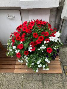 un montón de flores rojas y blancas en un sembrador en Sint Andries Suites, en Amberes