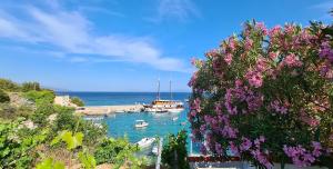Paesaggio naturale nelle vicinanze del bed & breakfast