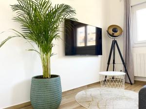 una planta verde en un jarrón grande en una sala de estar en Duplex Centre Ville - 50m de la Plage - Clim - Garage - Netflix, en Le Grau-du-Roi