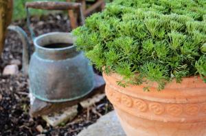 a planter with a green plant in it at Hotel Aquamarin in Bad Mitterndorf