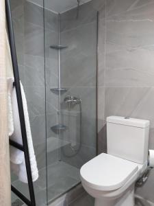 a bathroom with a toilet and a glass shower at Orion front sea apartment in Theologos