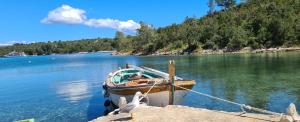 Paesaggio naturale nelle vicinanze del bed & breakfast