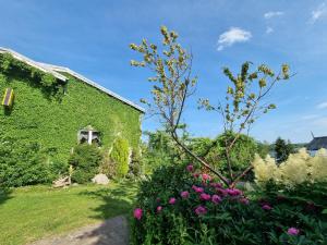 einen Garten mit Blumen vor einem Gebäude in der Unterkunft Haus Seeblick in Stary Gieląd