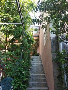 Fotografie z fotogalerie ubytování Villa Stanivukovic v destinaci Budva
