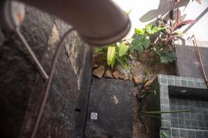 a plant in a pot next to a wall at Zero Meia Um Pousada in São Miguel do Gostoso