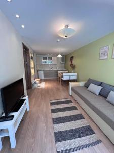 a living room with a couch and a flat screen tv at Apartamentai Forest green in Nida