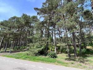 an empty road next to a forest of trees at Apartamentai Forest green in Nida