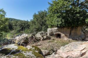 a group of rocks and trees on a mountain at Ampia e luminosa stanza Janas in Fonni