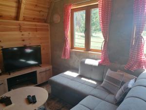 a living room with a couch and a tv at Zabljak_vikendica in Žabljak +44 photos