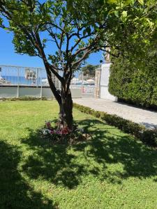 Gallery image of Bakagiannis Apartments in Parga
