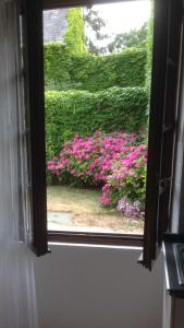 a window with a view of a bush of pink flowers at Appart dans fermette in Audeville