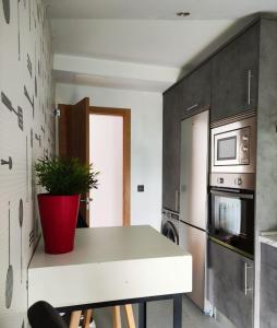 Kuchyňa alebo kuchynka v ubytovaní Fridda House Rias Baixas Vigo
