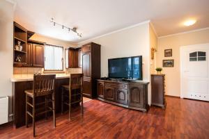 Kuchyňa alebo kuchynka v ubytovaní Arkadia Homely Apartament