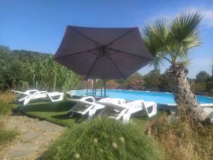 a group of boats and an umbrella next to a pool at Écoutez les oiseaux Arrivée en toute liberté in Lunel