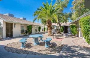 een patio met een tafel en een palmboom bij Cozy Suite w Pool and Free Parking At Phoenix in Phoenix