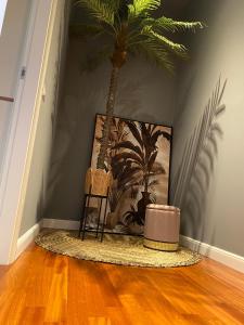 een kamer met een stoel en een palmboom aan de muur bij BB SAVOIA Affittacamere in Campobasso