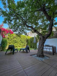 a tree with benches and a table and an umbrella at Aqueduct Casa 11 in Lisbon