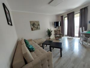 ein Wohnzimmer mit einem Sofa und einem Tisch in der Unterkunft SAS Apartamenty Perfect in Stettin