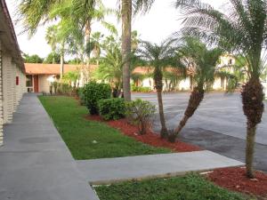 a sidewalk in front of a building with palm trees at A-1 Budget Motel in Homestead