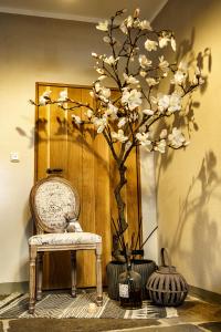 a tree in a vase next to a chair at Ferienwohnungen Stadtboutique in Annaberg-Buchholz