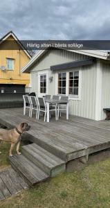 un perro parado en una terraza de madera frente a un edificio en Villa Sus & Dus, en Yngsjö
