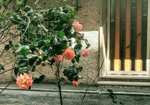 a bush with pink flowers in front of a building at Casa Rosi in Rome