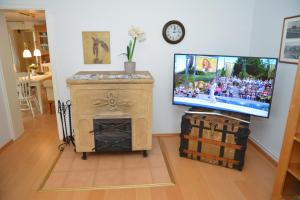 TV a/nebo společenská místnost v ubytování Kleine Auszeit