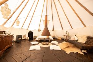 Gallery image of Slapen tussen de schapen in de Tante Tipi in Zennewijnen