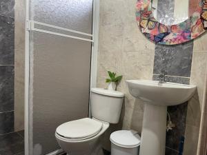 un baño con inodoro y lavabo en Finca campestre mi retoño, en Medellín 44 fotos más