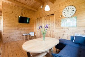 Televízia a/alebo spoločenská miestnosť v ubytovaní Domek nad Rozlewiskiem