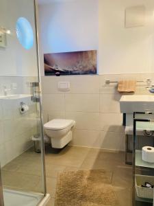 a bathroom with a shower and a toilet and a sink at FEWO VI Villa Nicole Hafenstraße 37 in Zingst