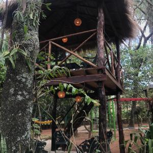 Mynd úr myndasafni af Los Lapachos í Altos