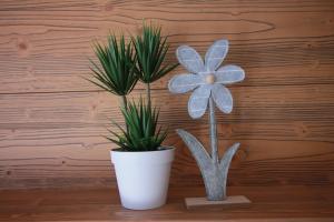 twee planten in een witte pot naast een muur bij CASA IBEX - Piscina - Sauna - Baby Club in Cavalese