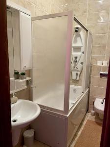 a bathroom with a shower and a sink at Apartments Lungo Mare in Sveti Stefan