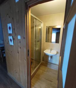 a bathroom with a shower and a sink at Pokoje gościnne Kozica in Zakopane