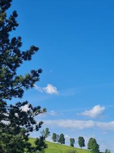 ein blauer Himmel mit Bäumen auf einem grünen Feld in der Unterkunft Gästehaus Gamsblick in Werfenweng