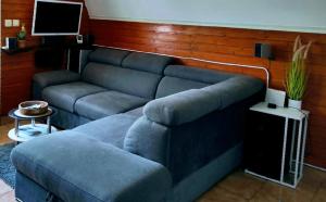 ein Wohnzimmer mit einem Sofa und einem TV in der Unterkunft Planinska vikendica LUCIJA in Fužine