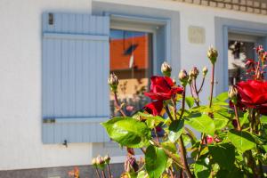 Vonkajšia záhrada v ubytovaní Boróka Apartmanház