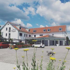 a dog standing in a parking lot in front of a building at Hotel Bavaria in Dingolfing
